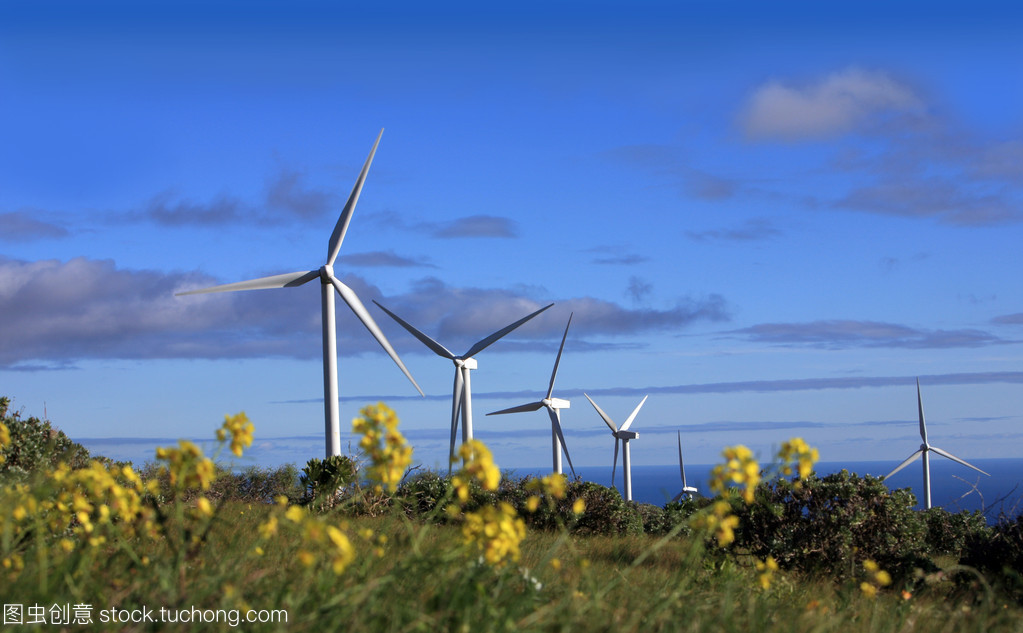 風能驅動未來 風力發電機組的原理、優勢與挑戰